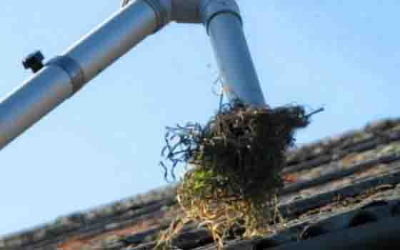 MH Exterior Cleaning