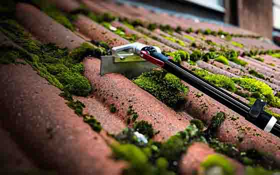 roof scraping.jpeg MH Exterior Cleaning